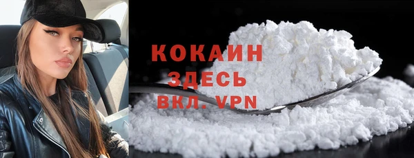 гидра Аркадак