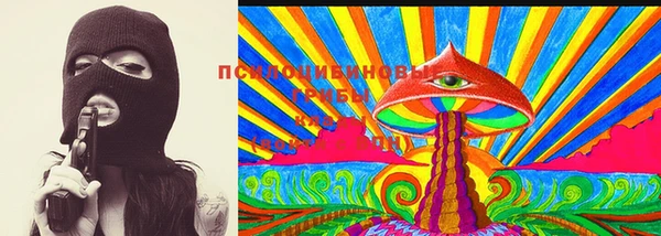 гидра Аркадак