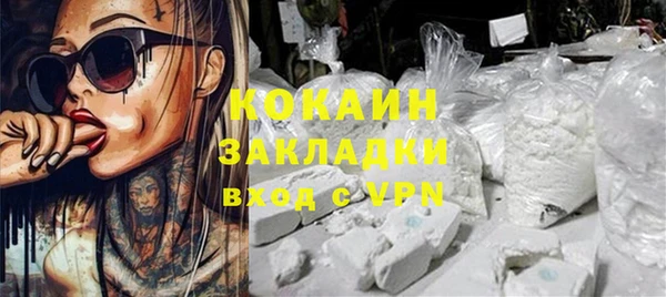 гидра Аркадак