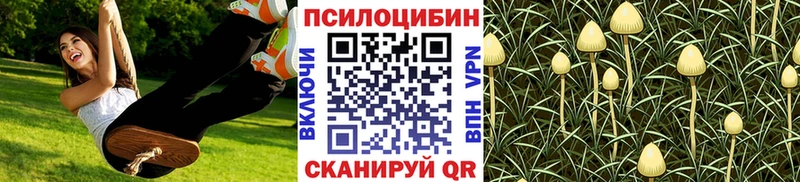 Псилоцибиновые грибы Psilocybine cubensis  shop состав  Островной  где найти  